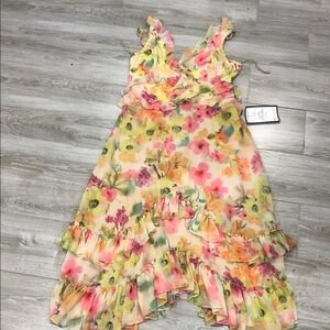 New Adrianna Papell Multicolor Floral dress 14